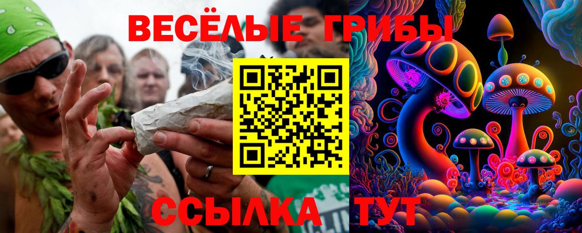Псилоцибиновые грибы Magic Shrooms Тавда