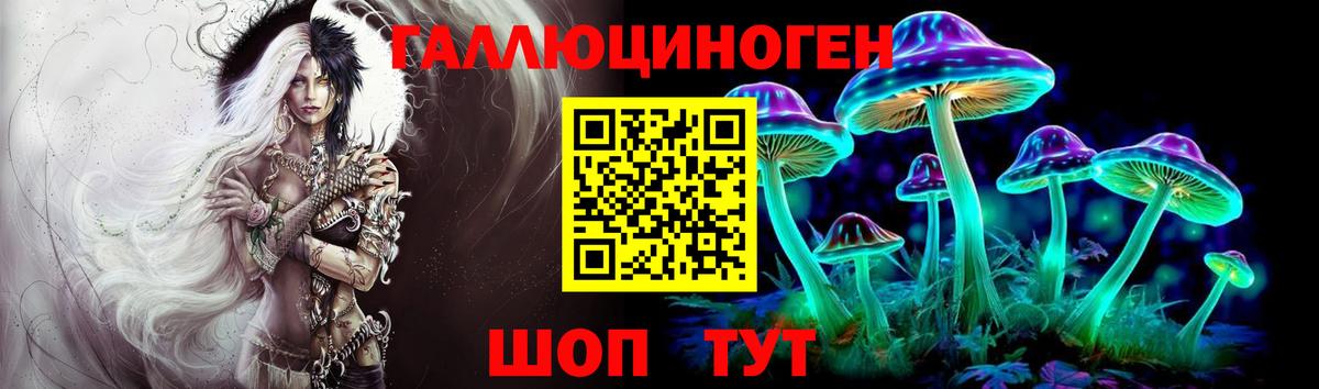 Псилоцибиновые грибы Psilocybe  Вход с VPN  Тавда 